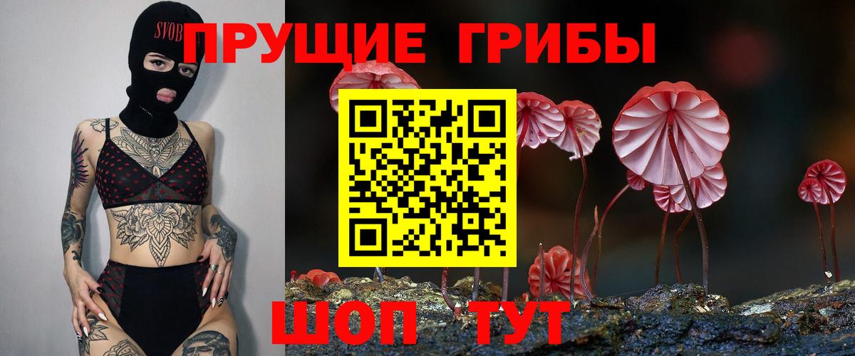 Галлюциногенные грибы мицелий Черняховск